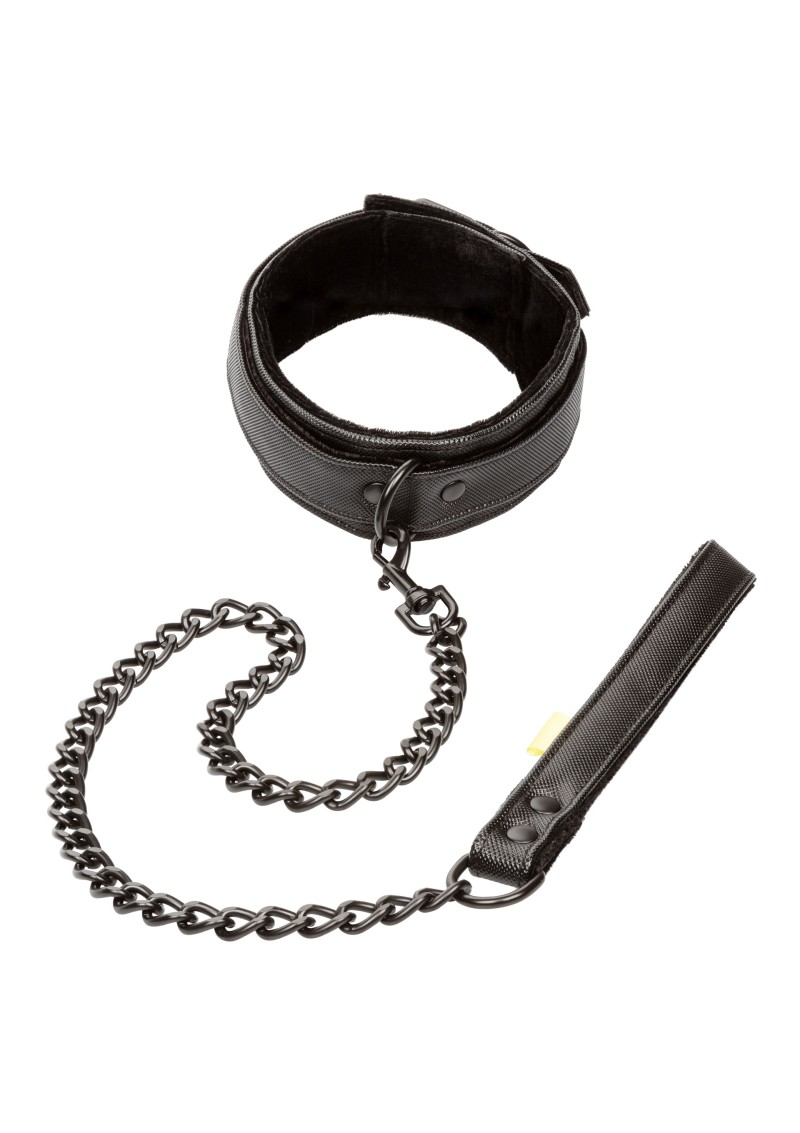 BDSM halsband