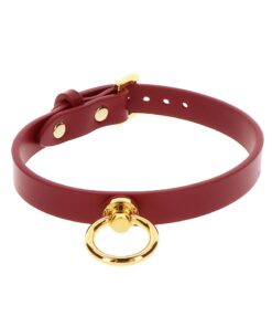 BDSM-collar-rood O-ring-2