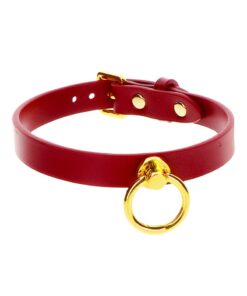 BDSM-collar-rood-O-ring